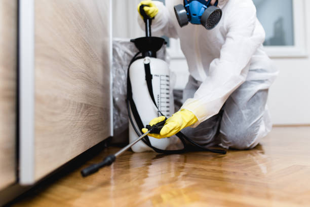 Best Exterminator Services  in Linton Hall, VA