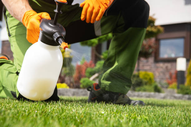 Best Affordable Pest Control Services  in Linton Hall, VA