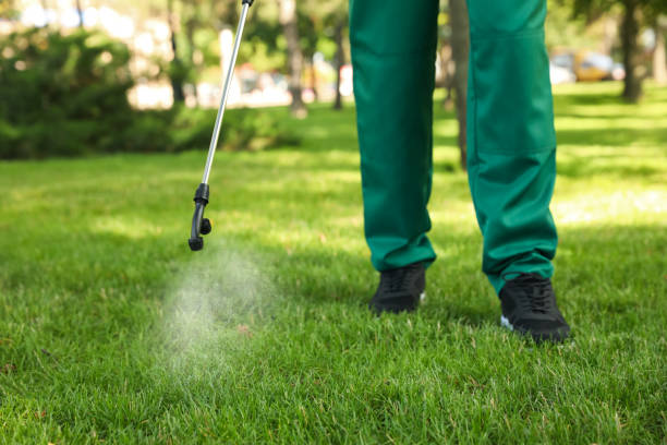 Best Bed Bug Extermination  in Linton Hall, VA