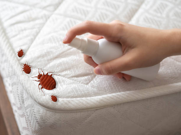 Insect Control in Linton Hall, VA