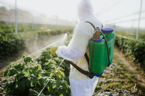Best Emergency Pest Control  in Linton Hall, VA